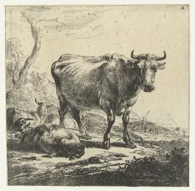 Koe