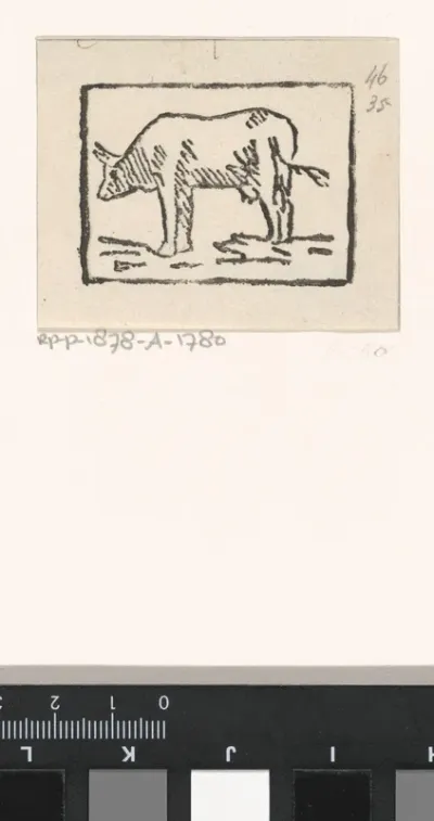 Koe