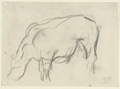 Koe