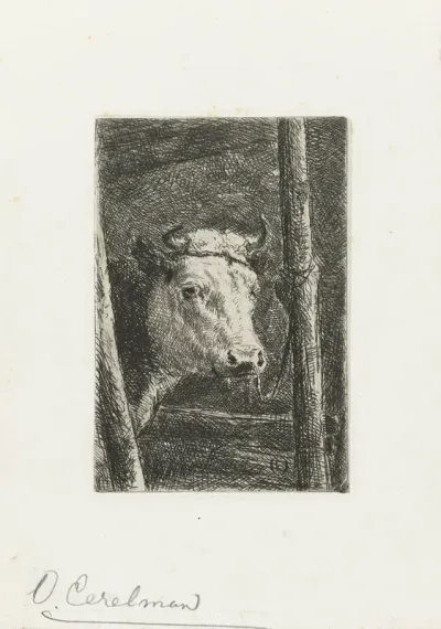 Koe aan de ruif