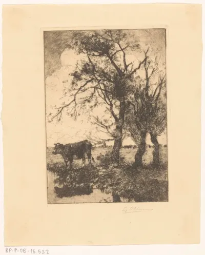 Koe aan de waterkant