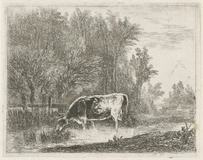 Koe bij een bosrand