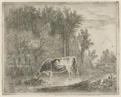 Koe bij een bosrand