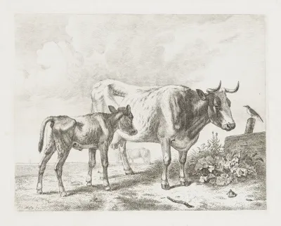 Koe en een kalf in een weiland