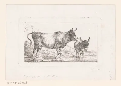 Koe en ezel staand in een rivier