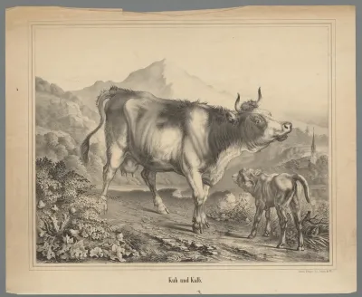 Koe en kalf in een berglandschap