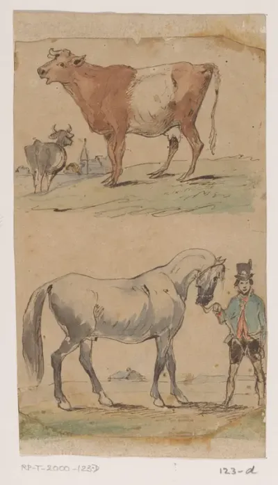 Koe en paard