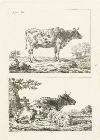 Koe en schaap