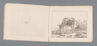Koe en schaap