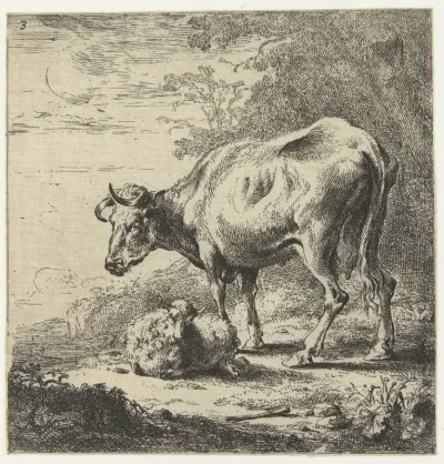 Koe en schaap