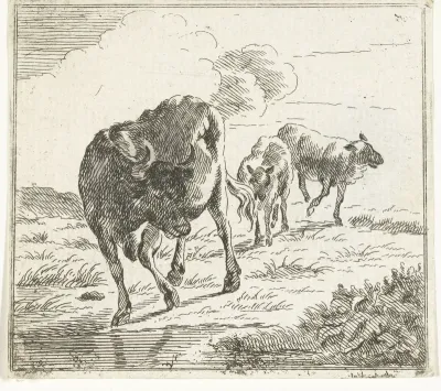 Koe en schapen