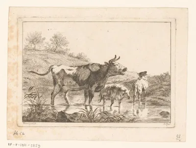 Koe en twee schapen bij een doorwaadbare plaats