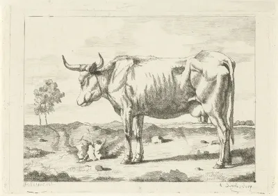 Koe in de weide