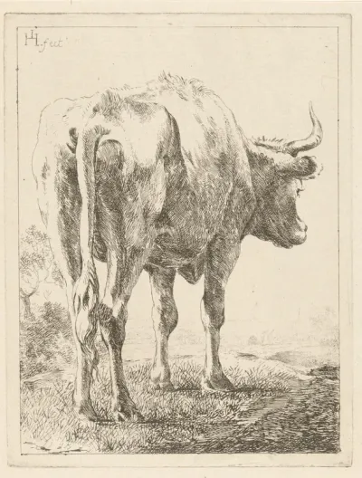 Koe in een landschap
