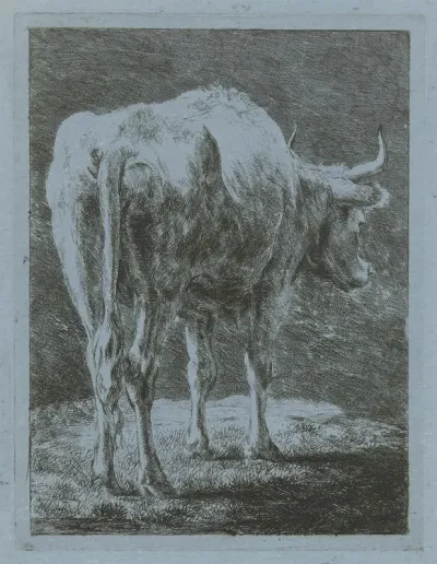 Koe in een landschap