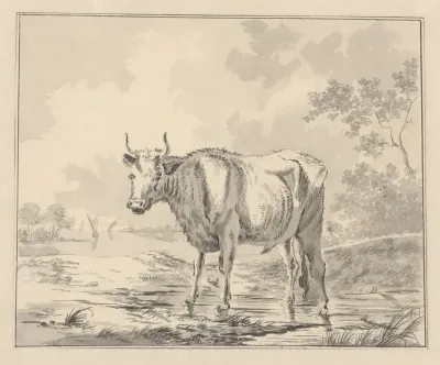 Koe in waterrijk landschap