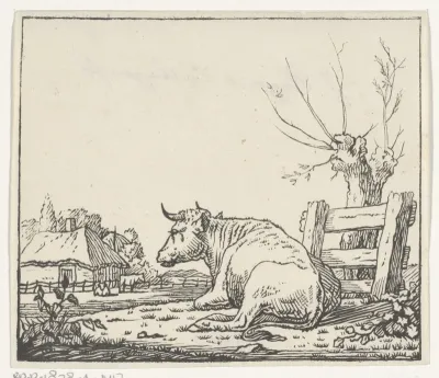 Koe liggend naast een knotwilg in de wei