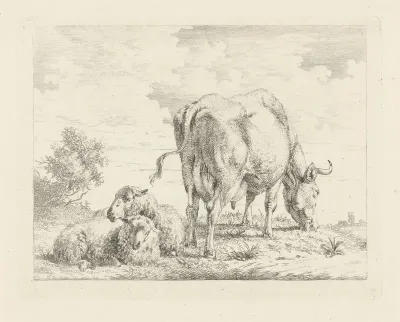 Koe met twee schapen