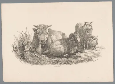 Koe, ram en twee schapen
