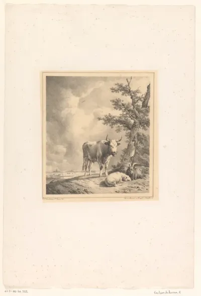 Koe, schaap en geit bij boom