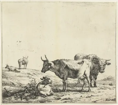 Koe, stier en een kalf