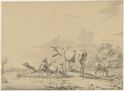 Koe tussen schapen aan waterkant