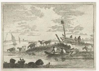 Koeien aan het water