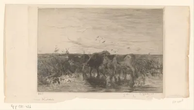 Koeien bij water in een weiland