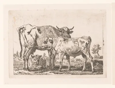 Koeien en een kalf met bel om de hals