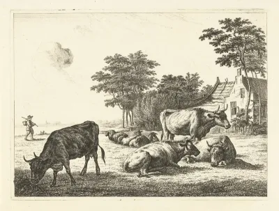 Koeien en schapen liggend in weide voor boerderij