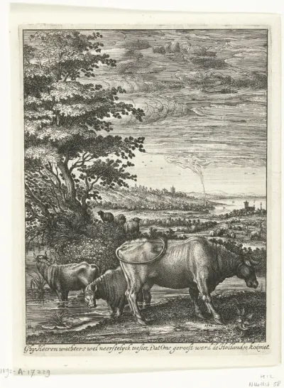Koeien in een landschap
