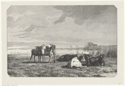 Koeien in een wei aan het water