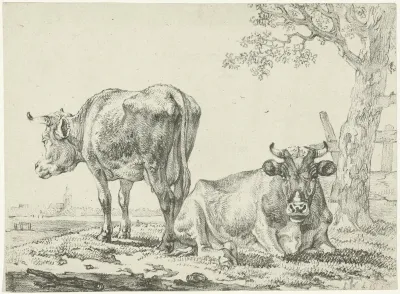 Koeien in een weide