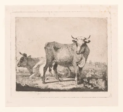 Koeien in het landschap