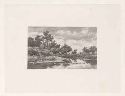 Koeien in rivierlandschap