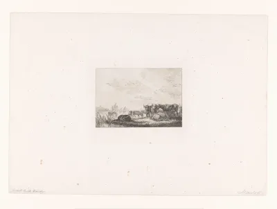 Koeien langs een rivier met zeilboten
