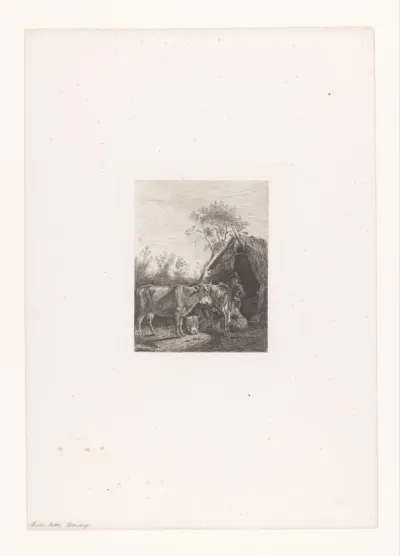 Koeien melken