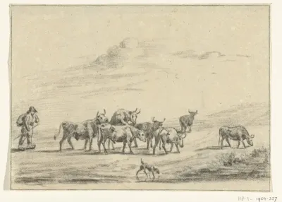Koeiendrijver met een groep runderen