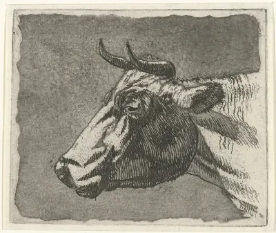 Koeienkop
