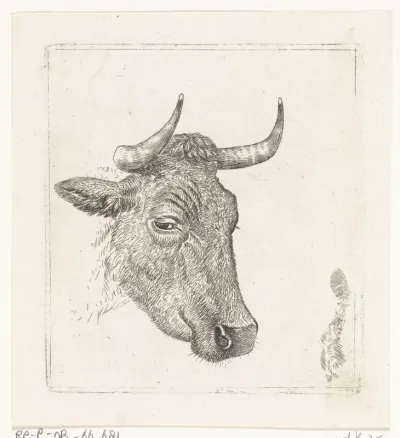 Koeienkop A