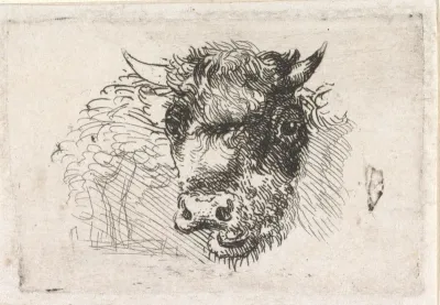 Koeienkop en schapenkop