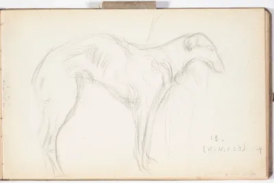 Koira. Todennäköisesti n. 1908-09.
