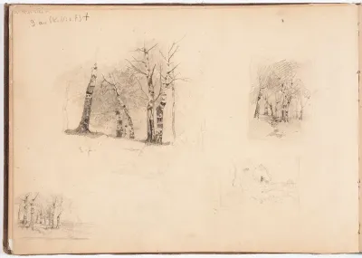 Koivikko, harjoitelmia. Todennäk. 1880-luvun jälkipuol. Kuva ylh.vas.  merk. vas.alh. E.J.