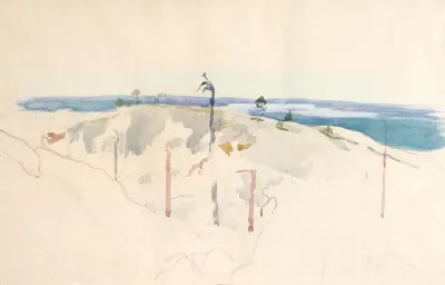 Koli, luonnos