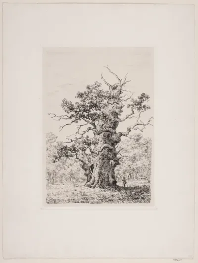 Kongeegen. Christianssæde, Lolland