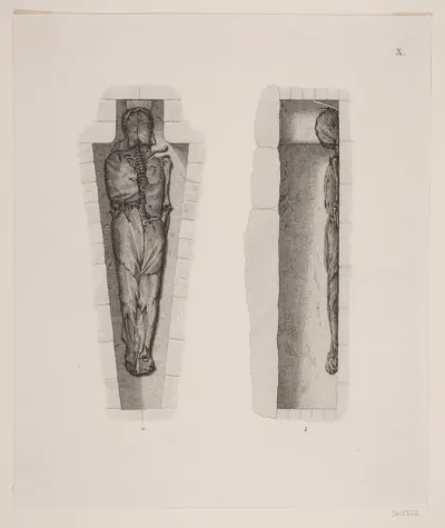 "Kongegravene i Ringsted Kirke". Planche X