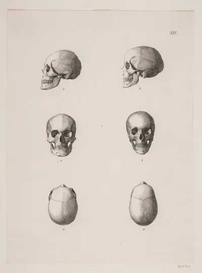 "Kongegravene i Ringsted Kirke". Planche XIV