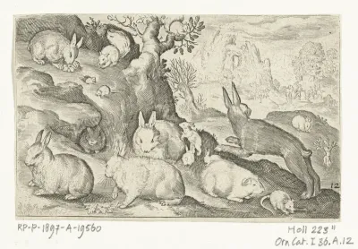 Konijnen, eekhoorn, cavia en muis