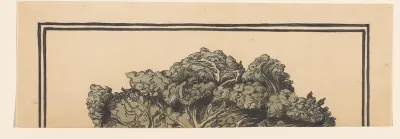 Koolblad (fragment)
