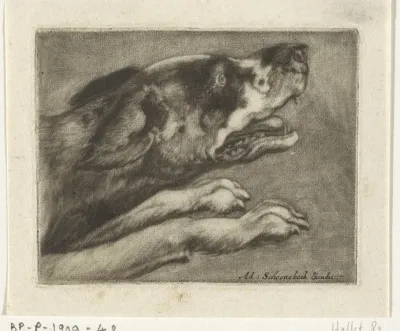 Kop en voorpoten van een blaffende hond